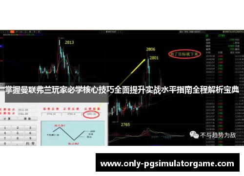 掌握曼联弗兰玩家必学核心技巧全面提升实战水平指南全程解析宝典
