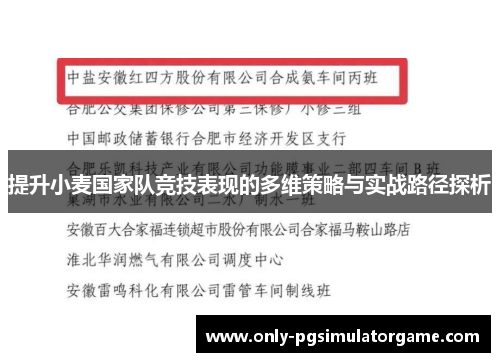 提升小麦国家队竞技表现的多维策略与实战路径探析