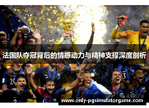 法国队夺冠背后的情感动力与精神支撑深度剖析
