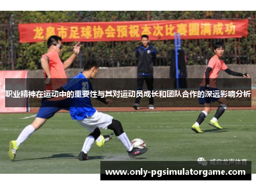 职业精神在运动中的重要性与其对运动员成长和团队合作的深远影响分析